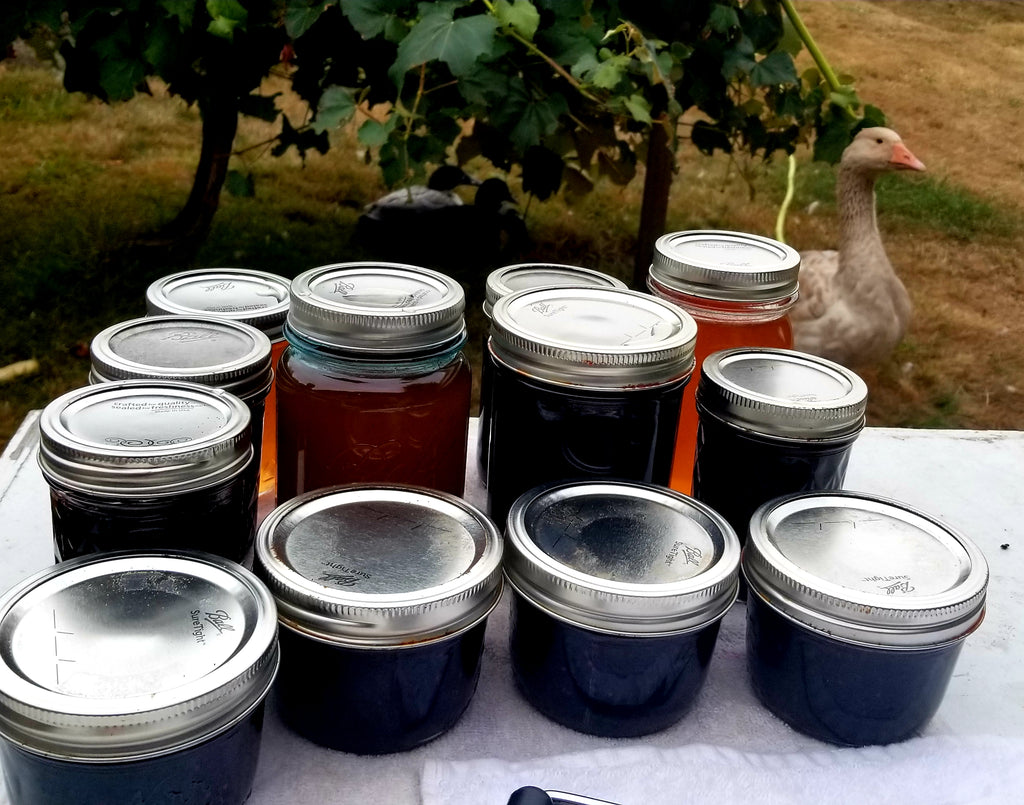 Vibrational Nutrition ~ Heart Opening Blackberry Jam