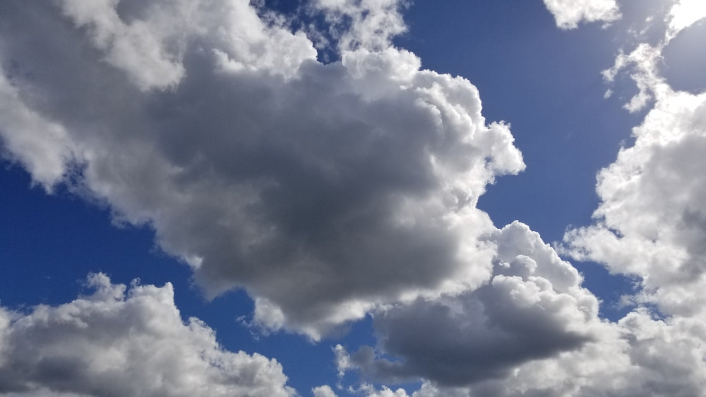 Aromatherapy ~ Invoking the Archetype of Air