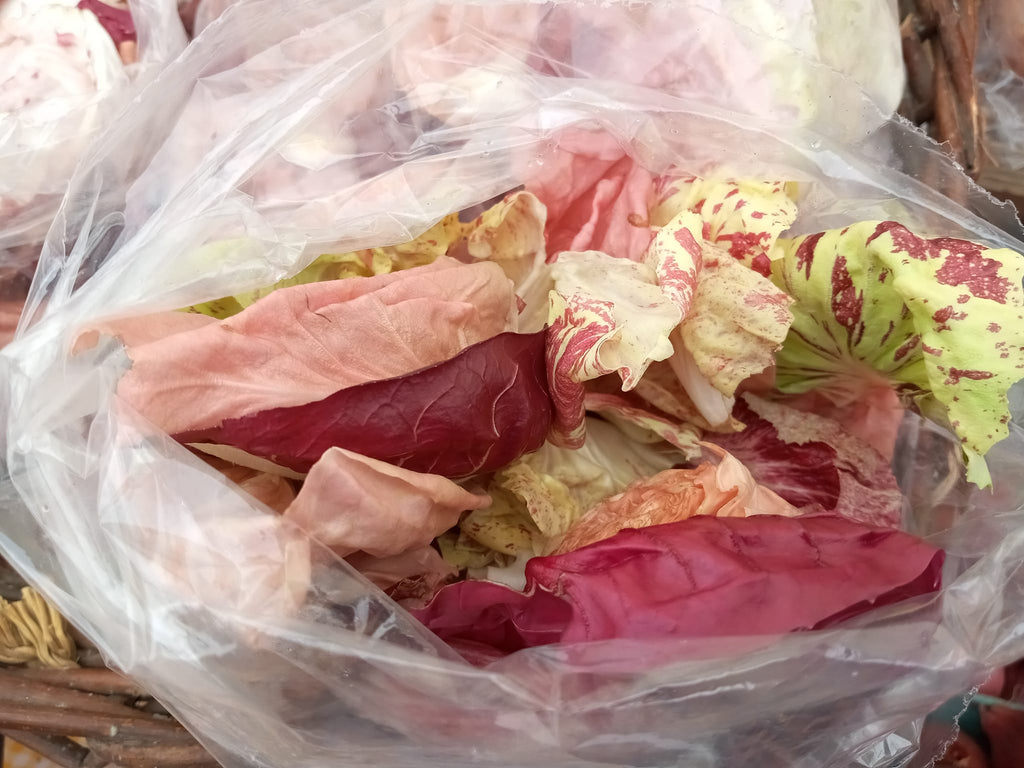 Highlighted Veg from Vibrational Nutrition ~ Radicchio