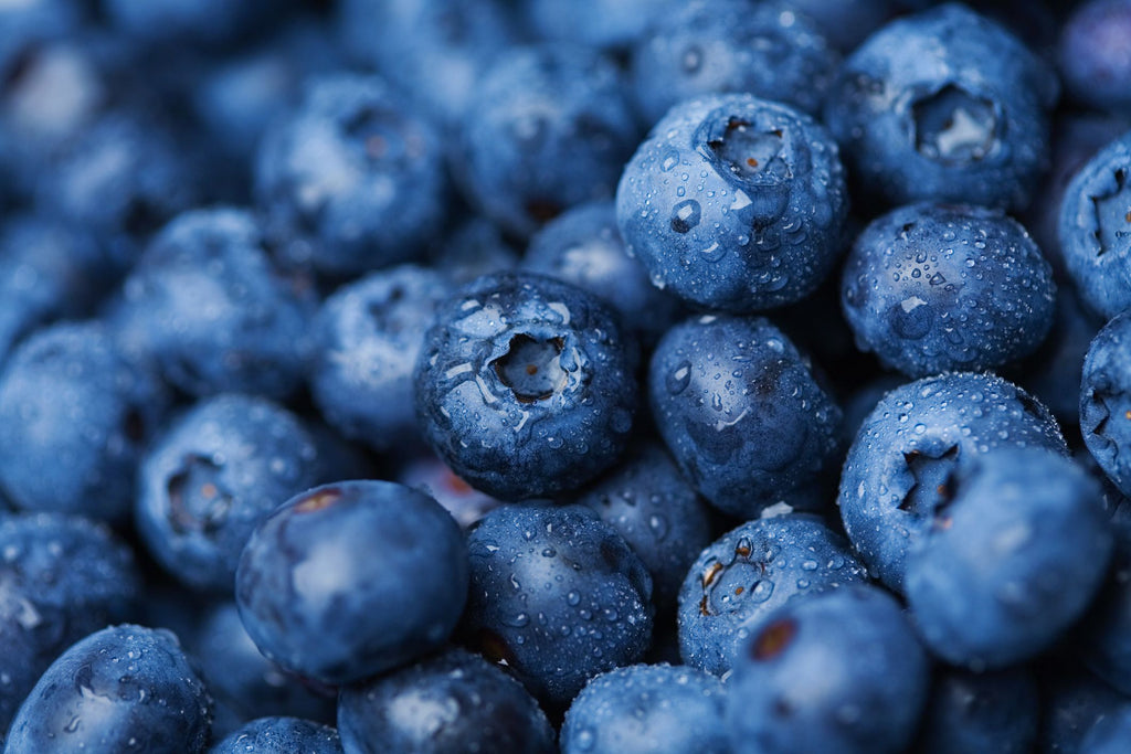 Blueberry Seed Oil (Vaccinium corymbosum L.) ~ Organic