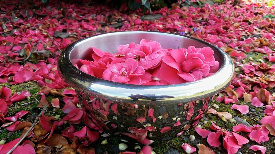 Drink Your Flowers! Our Limited Run Camellia Cordials are Ready