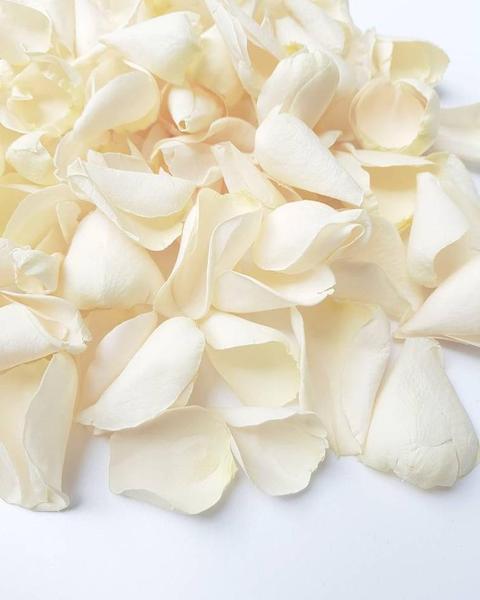 White Rose Otto Essential Oil ~ Rosa alba (Organic) ~ On Sale