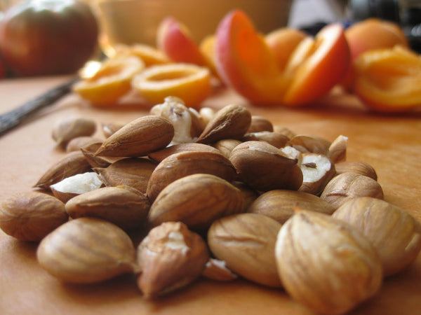 Apricot Base Oil  (Prunus persica or P. armeniaca)