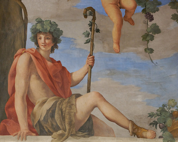 Dionysus Vibrational Essence: Irrational Wisdom