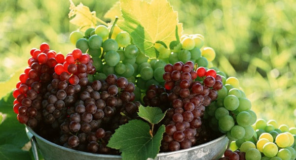 Grape Vibrational Essence