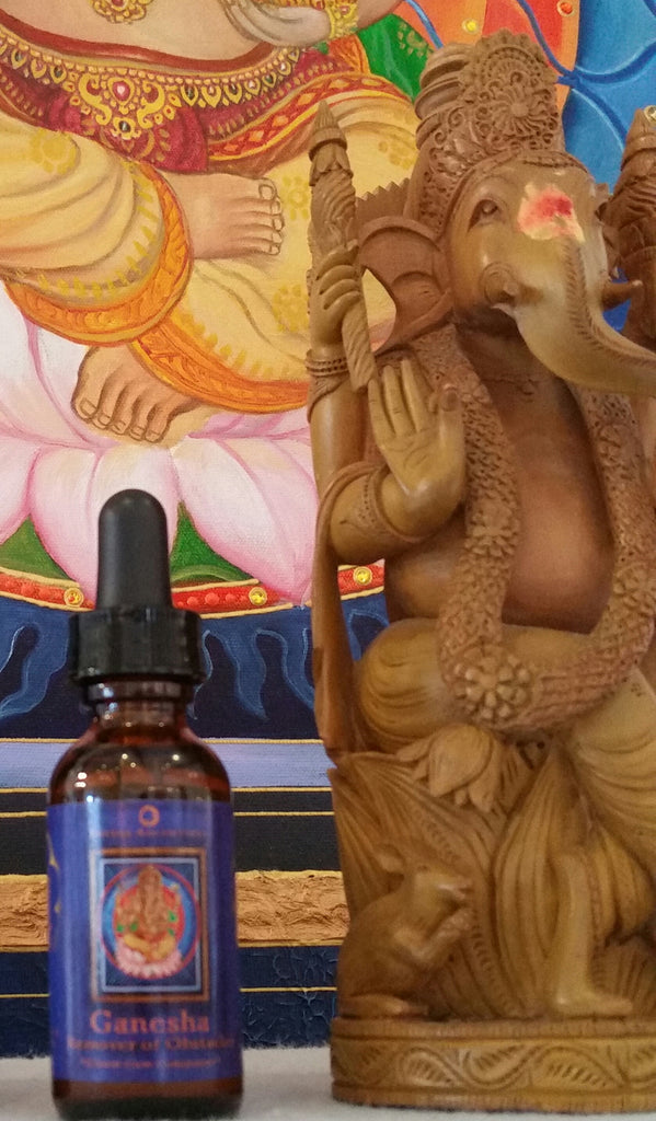 Using Essential Oils to Invoke the Archetype of Ganesha