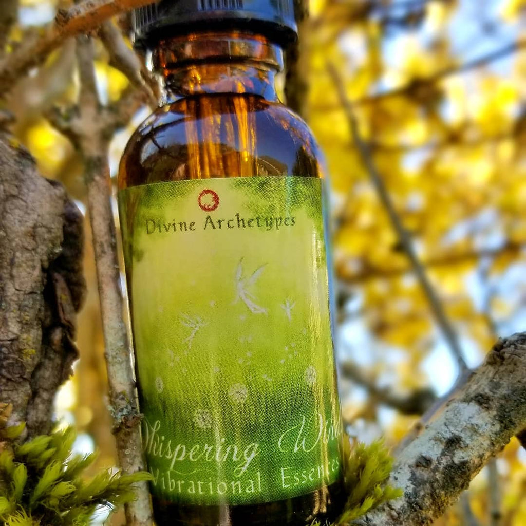 Spring Essense Spring Flower Essence Sale! – Divine Archetypes