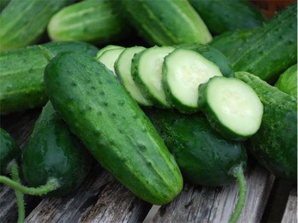 Cucumber Seed Oil ~ Cucumis sativus (Organic)