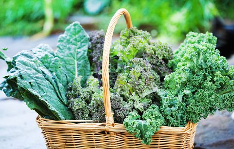 Curious Why Kale is the Sweetheart of the Yoga, Meditation & Ancient Philosophy Set?