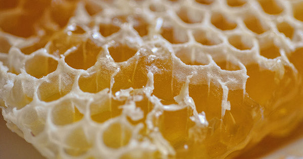 Honeycomb - honey - Absolute. Cera alba