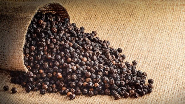 Black Pepper Essential Oil ~ Piper nigrum (Organic)