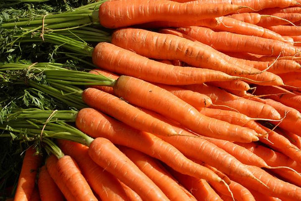 Carrot Root Vibrational Essence