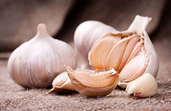 Garlic Vibrational Essence